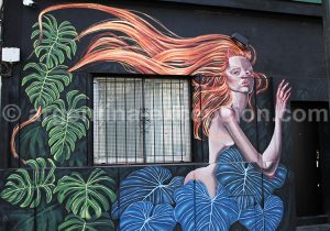 17 Photographies du quartier de Villa Crespo