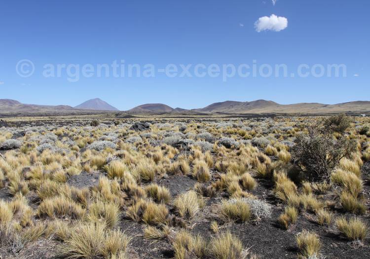Paysage du département de Malargüe département malargue