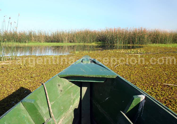 Climat des Esteros del Ibera Climat des Esteros del Ibera