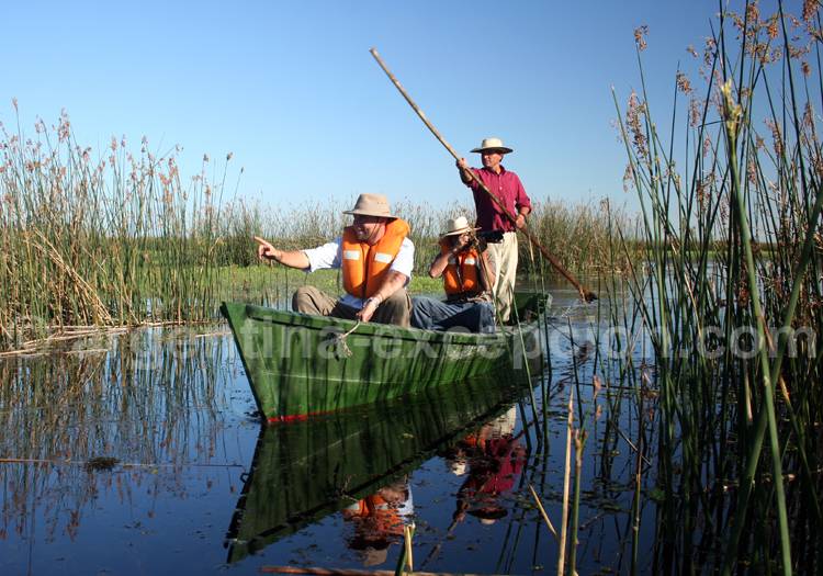 Safari photographique animalier à Ibera Safari photographique animalier à Ibera