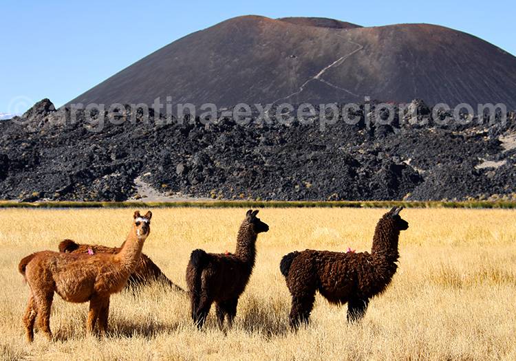 Volcan Antofagasta, Catamarca Volcan Antofagasta, Catamarca