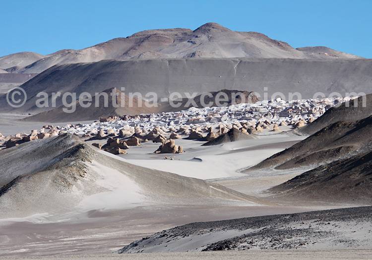 Campo de Piedra Pomez, Catamarca Campo de Piedra Pomez, Catamarca