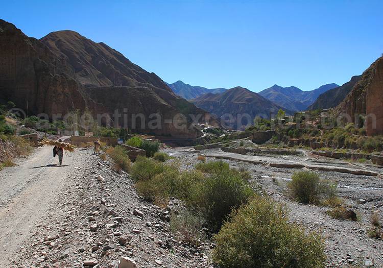 Circuit touristique d’exception Iruya circuit iruya
