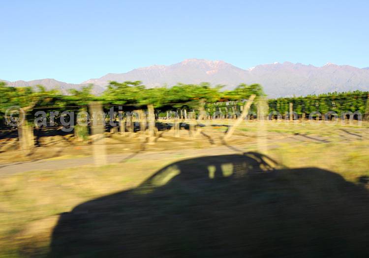 Exemples de circuits passant par Mendoza Exemples de circuits passant par Mendoza