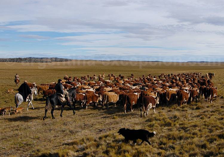 Estancia Despedida Estancia Despedida