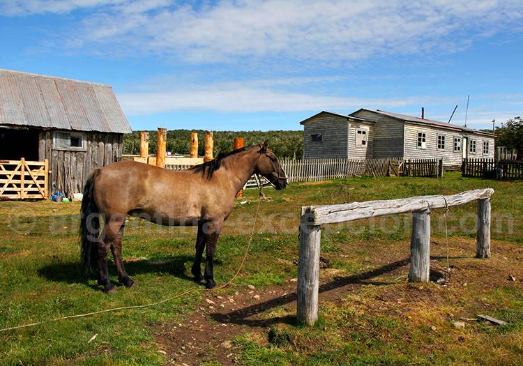 Estancia en Terre de Feu Estancia en Terre de Feu