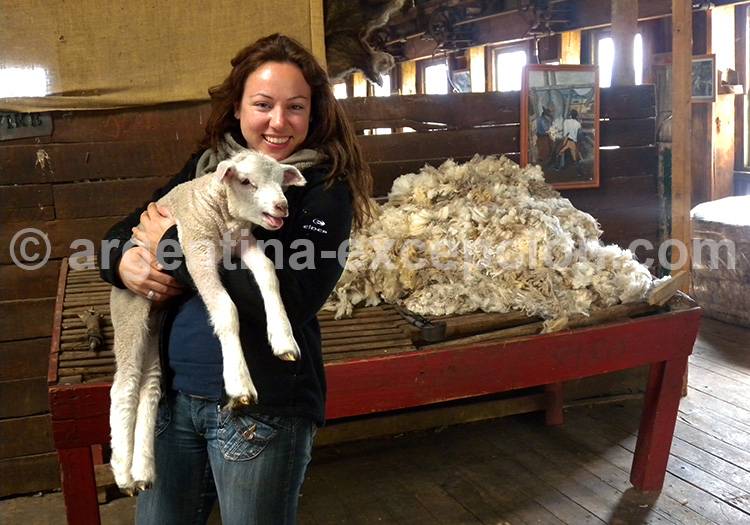 Estancia Helsingfors, lac Viedma Estancia Helsingfors, lac Viedma