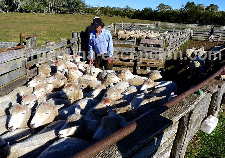 Vivre en estancia en Terre de Feu estancia ushuaia