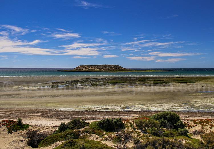 L'Île aux oiseaux, Péninsule de Valdés L'Île aux oiseaux, Péninsule de Valdés