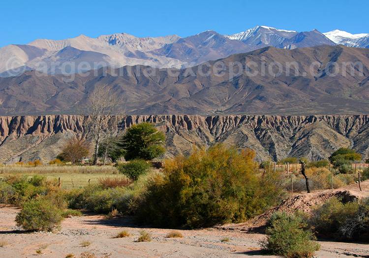 Visite du village de Payogasta Visite du village de Payogasta