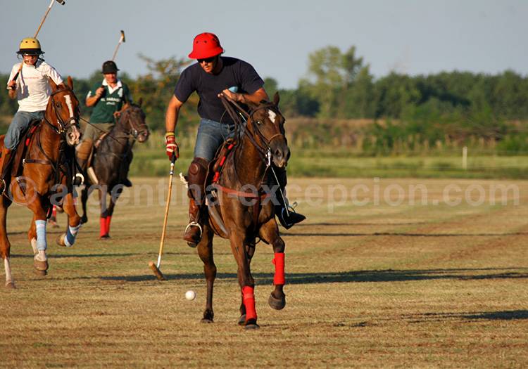 Ecole de Polo open door Ecole de Polo open door