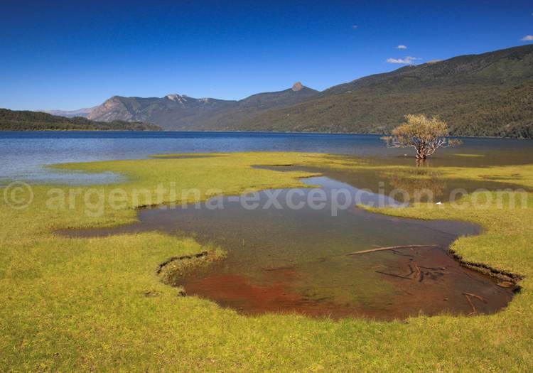 Lac Lácar depuis la Pucará Lac Lácar depuis la Pucará