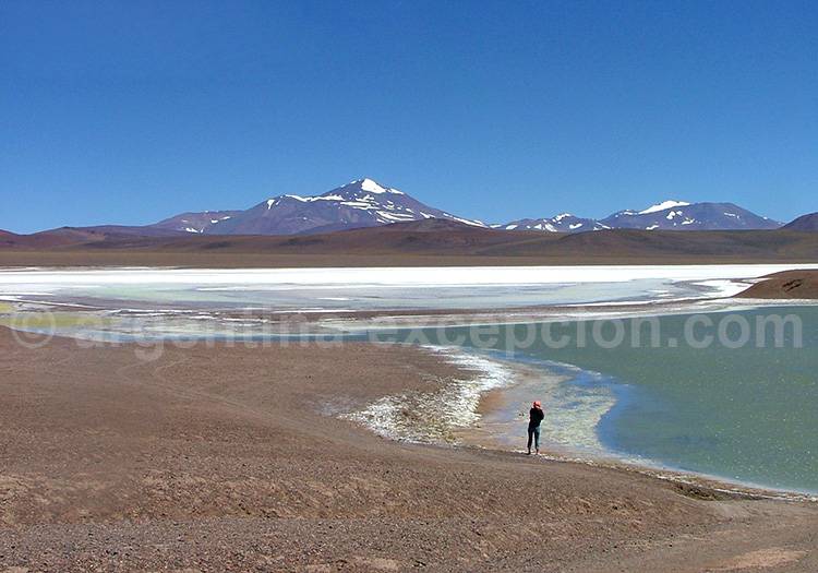 Laguna Brava, La Rioja Laguna Brava, La Rioja