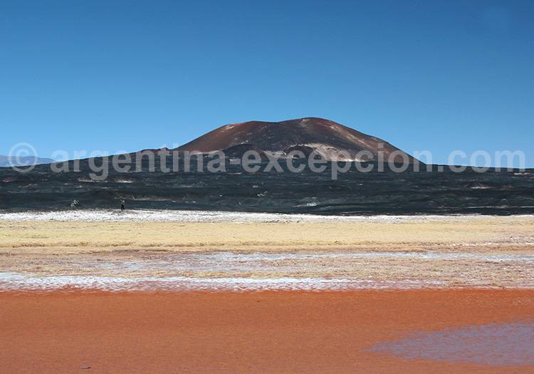 Laguna Carachi Pampa Laguna Carachi Pampa
