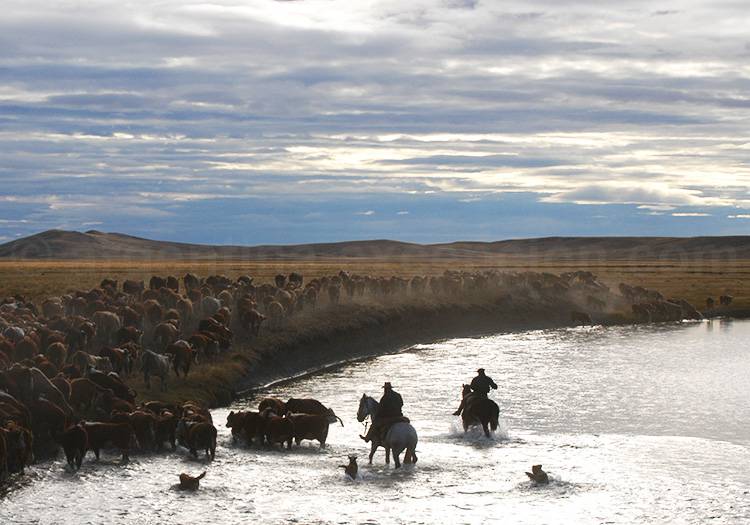 Ushuaia, terre de légendes litterature ushuaia terre de legende