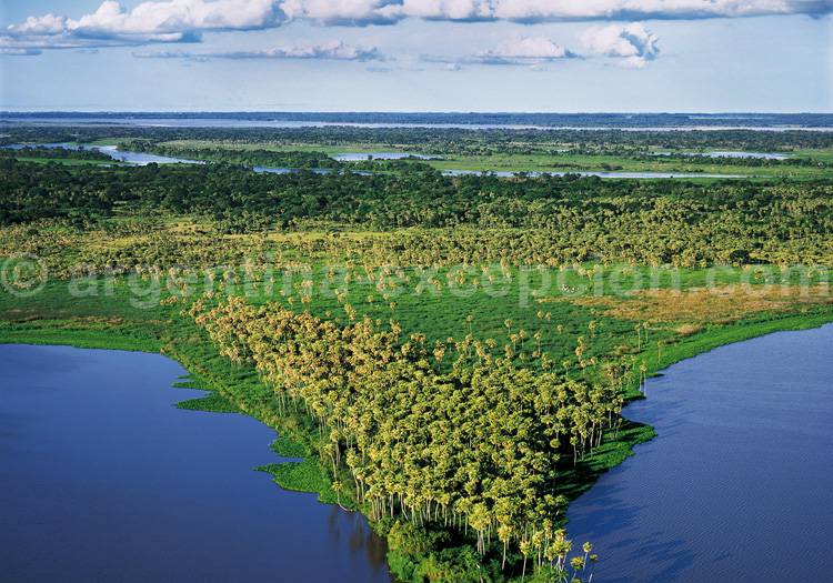 Parc national Chaco Parc national Chaco