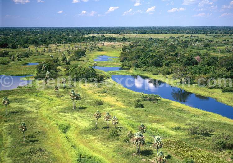 Parc national Pilcomayo, Formosa Parc national Pilcomayo, Formosa
