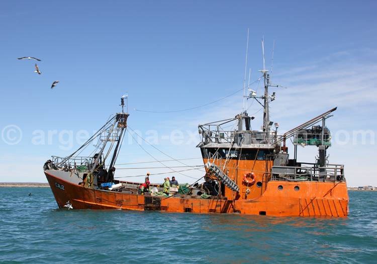 Pêcheurs de Rawson, Patagonie Pêcheurs de Rawson, Patagonie