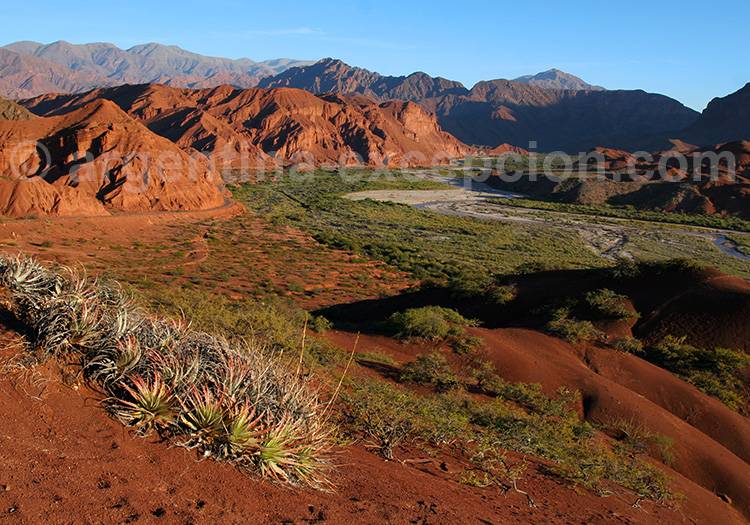Río de Las Conchas, route 68 "Río