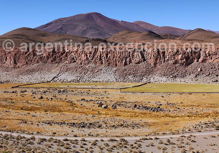 Quebrada Seca, Catamarca Quebrada Seca, Catamarca
