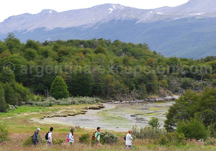 Randonnée dans le parc Terre de Feu Randonnée dans le parc Terre de Feu