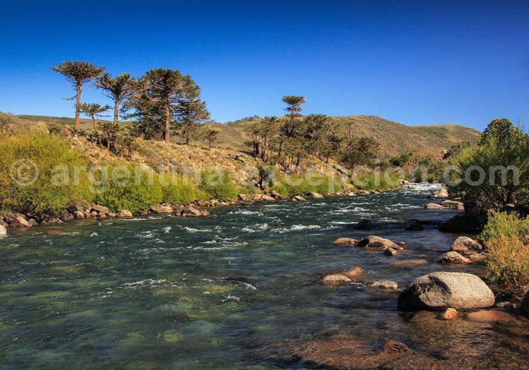 Rio Alumine, parc Lanin rio alumine, parc lanin