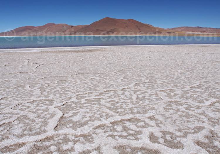 Salar del Hombre Muerto, Catamarca Salar del Hombre Muerto, Catamarca