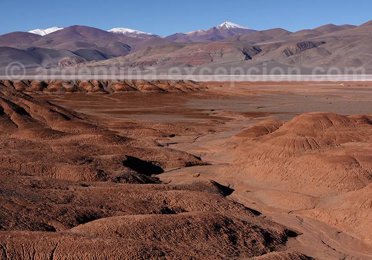 Salar de Pocitos, Salta Salar de Pocitos, Salta