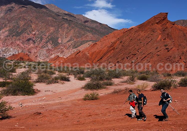 Province de Salta, Nord-ouest argentin Province de Salta, Nord-ouest argentin