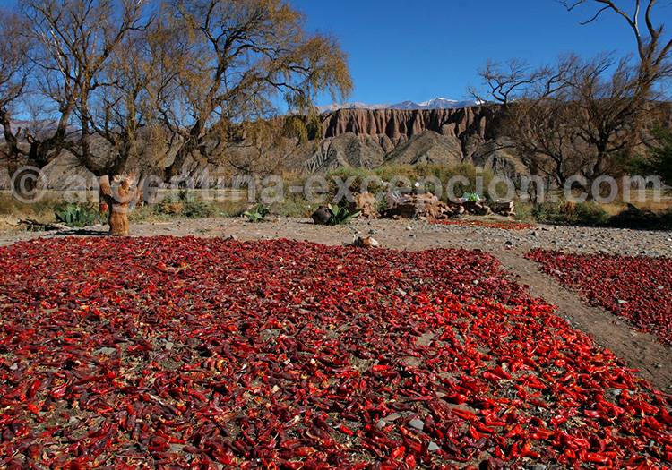 Village de Seclantas, Salta Village de Seclantas, Salta