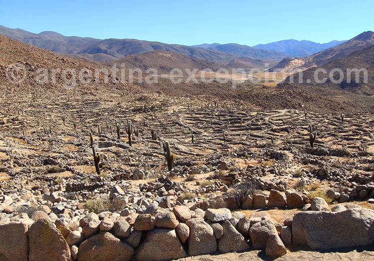 Ruines de Tastil, Salta Ruines de Tastil, Salta