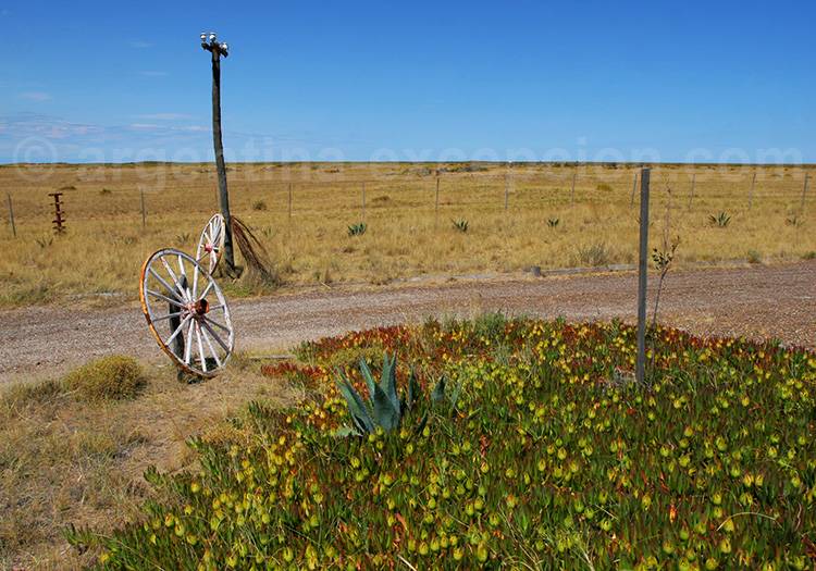 Chubut – Patagonie Argentine Chubut - Patagonie Argentine