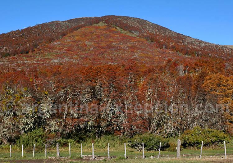 Paysage de la piste du col de Cordoba Paysage de la piste du col de Cordoba