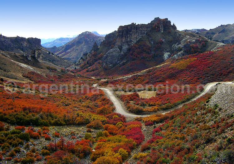 Paso de Cordoba – Patagonie Paso de Cordoba - Patagonie