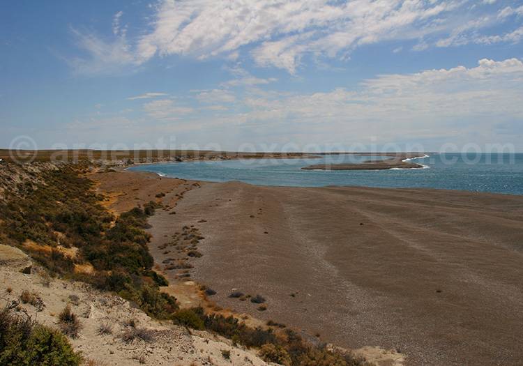 Caleta Valdés, Argentine Caleta Valdés, Argentine