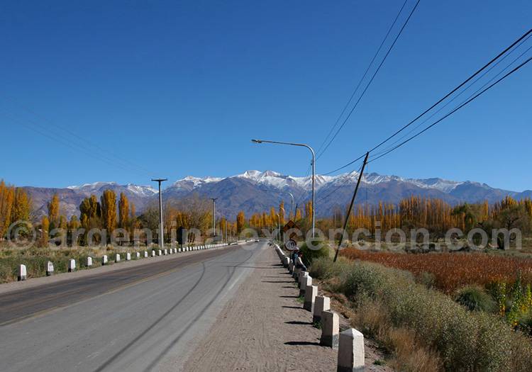 Upsallata, Mendoza Upsallata, Mendoza