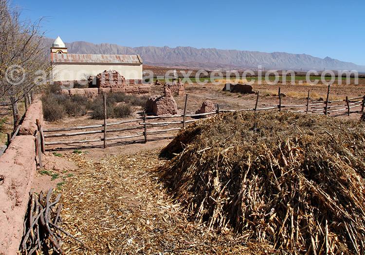 Visite de l'Amblayo, vallées Calchaquíes Visite de l'Amblayo, vallées Calchaquíes