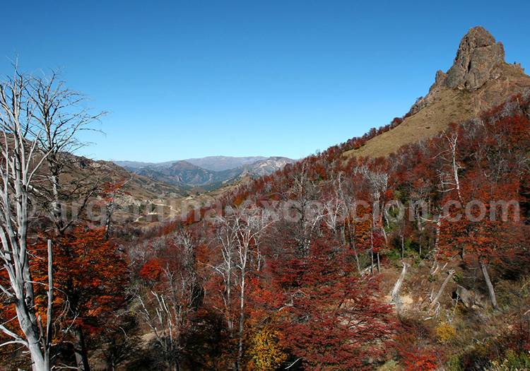 Paso de Cordoba entre la lac Meliquina et la Route 40 Paso de Cordoba entre la lac Meliquina et la Route 40