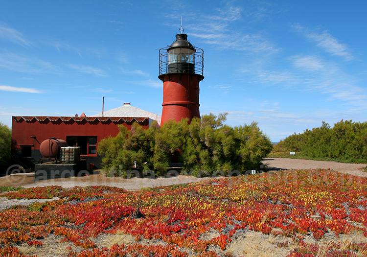 Phare de Punta Delgada, Valdés Phare de Punta Delgada, Valdés