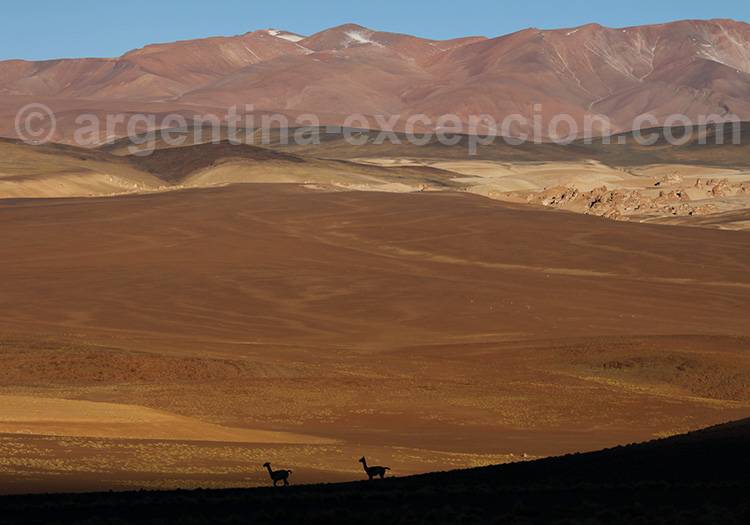 Volcan Galán, Catarmaca Volcan Galán, Catarmaca