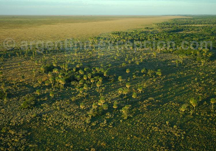 Guide de voyage Esteros del Ibera Guide de voyage Esteros del Ibera
