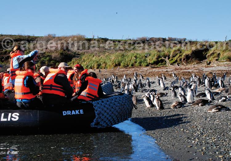 Ile Tucker, Patagonie Ile Tucker, Patagonie