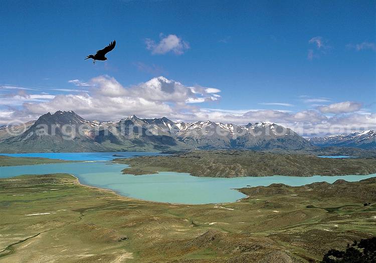 Lac Belgrano, parc Perito Moreno Lac Belgrano, parc Perito Moreno
