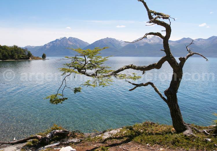 Lac Fargnano, Terre de Feu Lac Fargnano, Terre de Feu