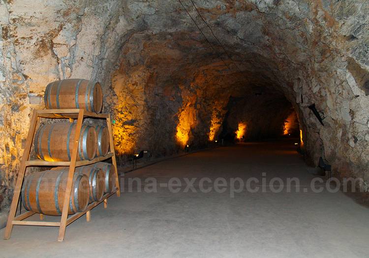 Bodega Cavas de Zonda, province de San Juan Bodega Cavas de Zonda, province de San Juan