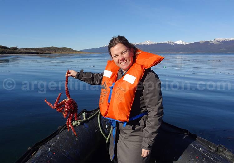 Pêche à la Centolla dans Canal de Beagle Pêche à la Centolla dans Canal de Beagle