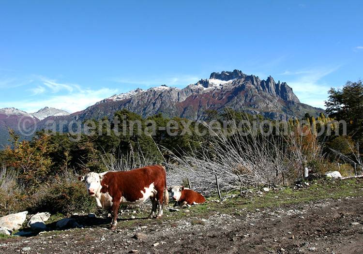 Cerro Los Angeles, Patagonie Cerro Los Angeles, Patagonie