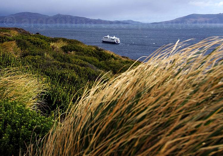Croisières exception au Cap Horn Croisières exception au Cap Horn