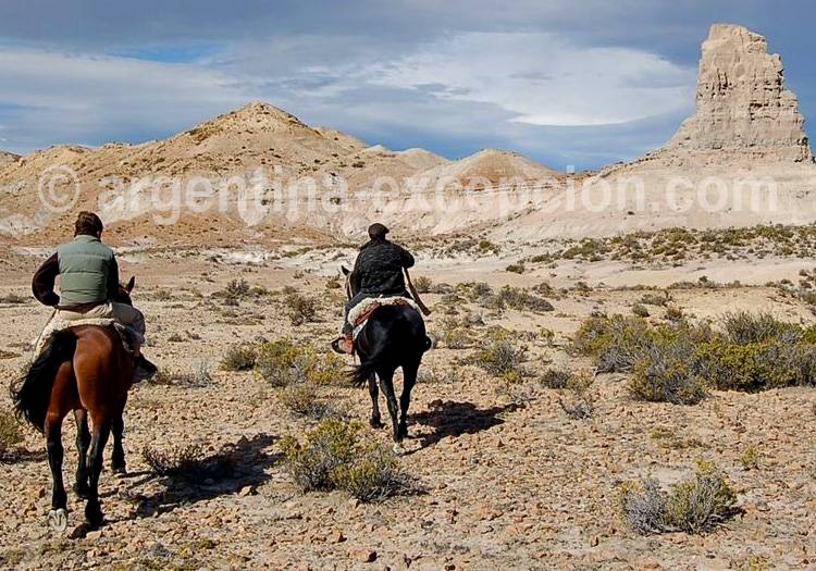 Estancia Bahia Bustamente Estancia Bahia Bustamente