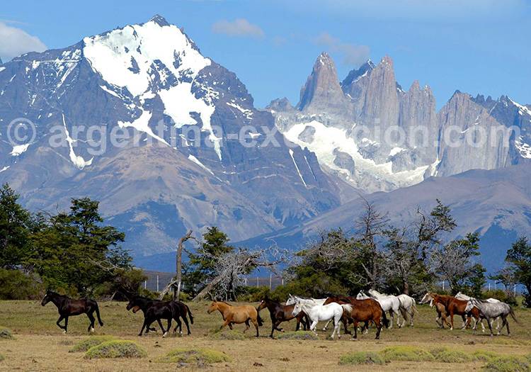 Estancia Cerro Guido, Torres del Paine Estancia Cerro Guido, Torres del Paine